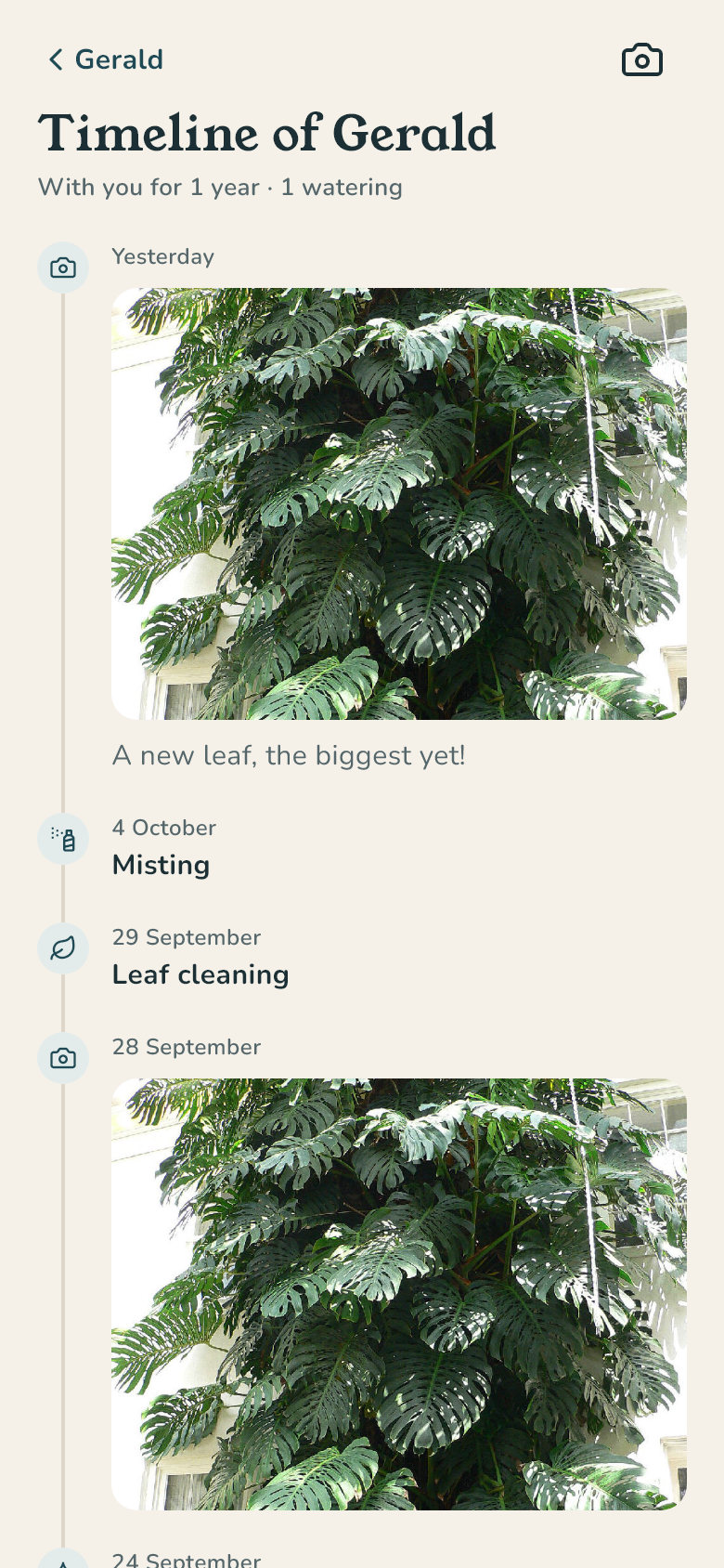 A plant's photo timeline in Xyléa